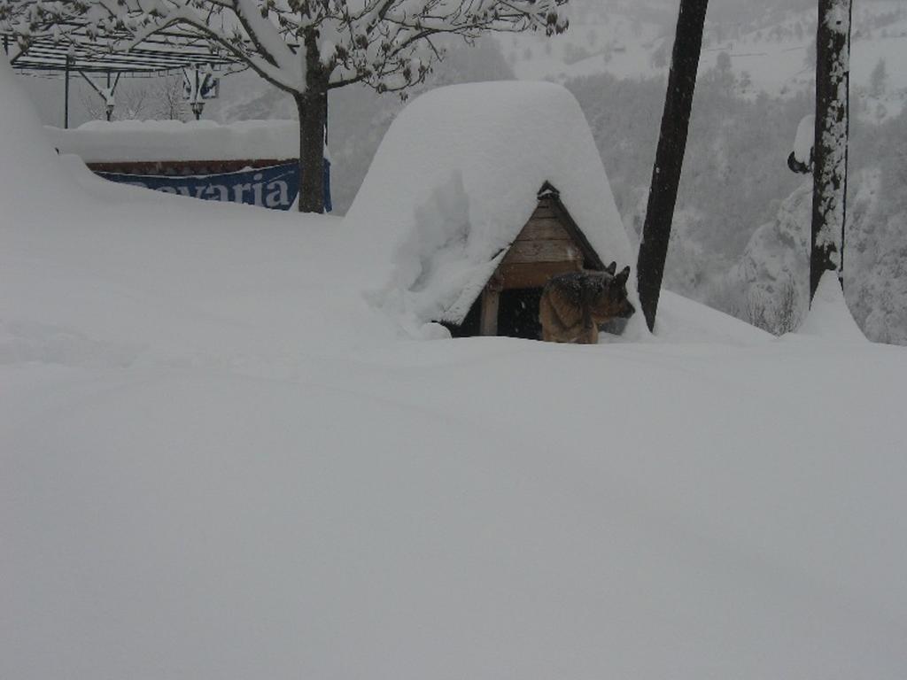 Tara Bridge Castle Hotel Zabljak  Exterior photo